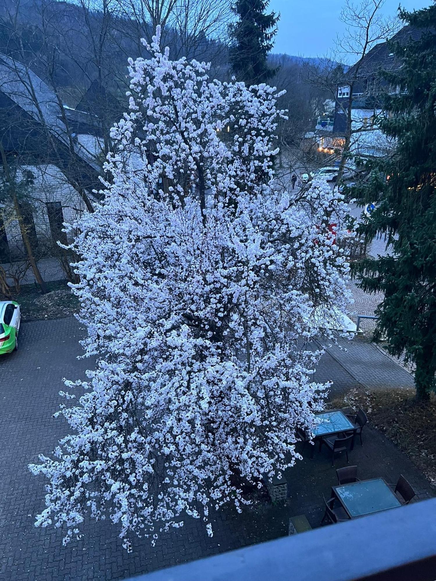 Hotel Wittgensteiner Hof Bad Laasphe Dış mekan fotoğraf